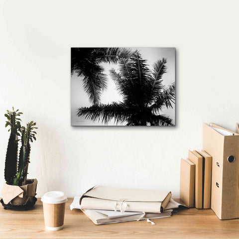 Image of 'Palm Tree Looking Up I' by Debra Van Swearingen, Canvas Wall Art,16 x 12