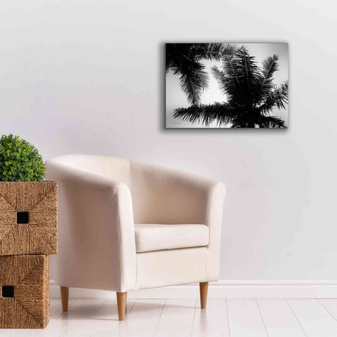 Image of 'Palm Tree Looking Up I' by Debra Van Swearingen, Canvas Wall Art,26 x 18