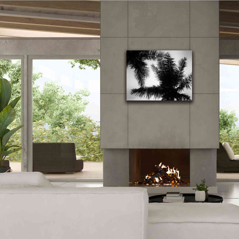 Image of 'Palm Tree Looking Up I' by Debra Van Swearingen, Canvas Wall Art,34 x 26