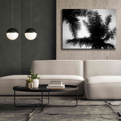 Image of 'Palm Tree Looking Up I' by Debra Van Swearingen, Canvas Wall Art,54 x 40