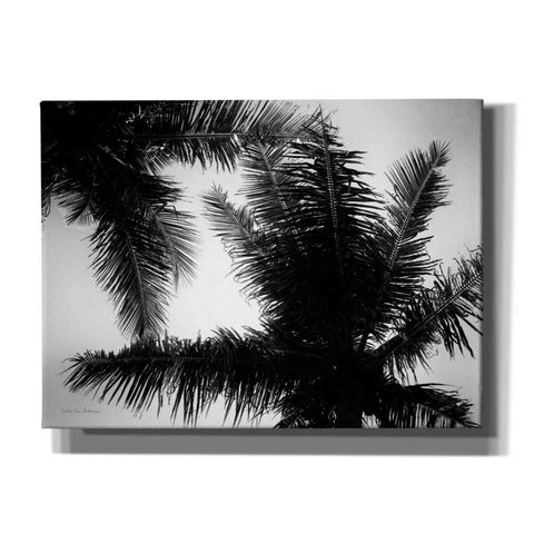 Image of 'Palm Tree Looking Up I' by Debra Van Swearingen, Canvas Wall Art,16x12x1.1x0,26x18x1.1x0,34x26x1.74x0,54x40x1.74x0