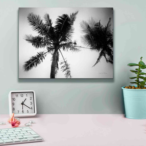 Image of 'Palm Tree Looking Up II' by Debra Van Swearingen, Canvas Wall Art,16 x 12