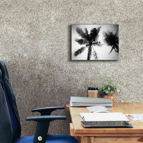 Image of 'Palm Tree Looking Up II' by Debra Van Swearingen, Canvas Wall Art,16 x 12