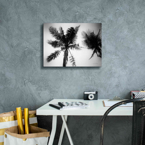 Image of 'Palm Tree Looking Up II' by Debra Van Swearingen, Canvas Wall Art,16 x 12