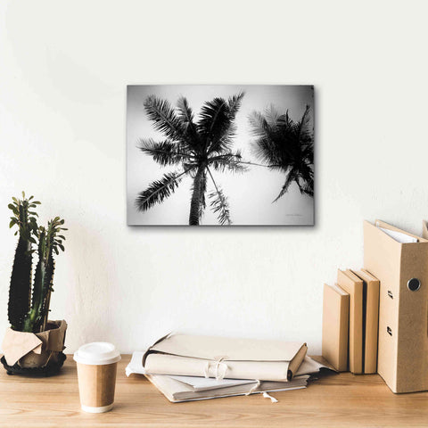 Image of 'Palm Tree Looking Up II' by Debra Van Swearingen, Canvas Wall Art,16 x 12