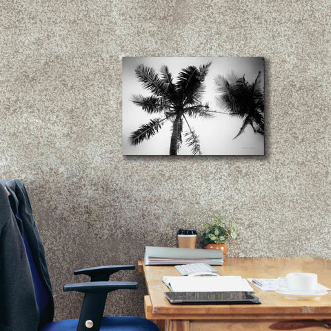 Image of 'Palm Tree Looking Up II' by Debra Van Swearingen, Canvas Wall Art,26 x 18