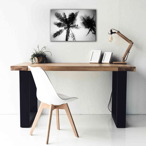 Image of 'Palm Tree Looking Up II' by Debra Van Swearingen, Canvas Wall Art,26 x 18