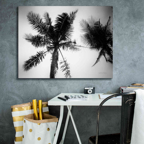 Image of 'Palm Tree Looking Up II' by Debra Van Swearingen, Canvas Wall Art,34 x 26