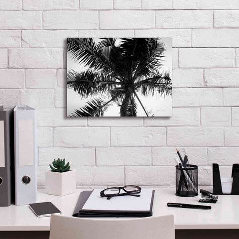 Image of 'Palm Tree Looking Up III' by Debra Van Swearingen, Canvas Wall Art,16 x 12