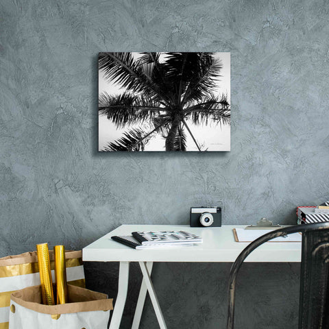Image of 'Palm Tree Looking Up III' by Debra Van Swearingen, Canvas Wall Art,16 x 12