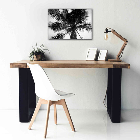 Image of 'Palm Tree Looking Up III' by Debra Van Swearingen, Canvas Wall Art,26 x 18