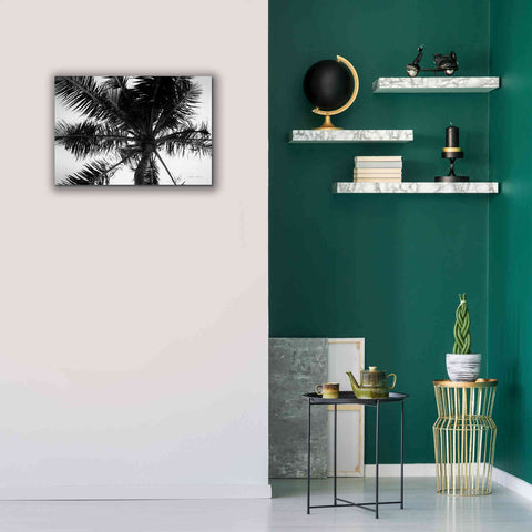 Image of 'Palm Tree Looking Up III' by Debra Van Swearingen, Canvas Wall Art,26 x 18