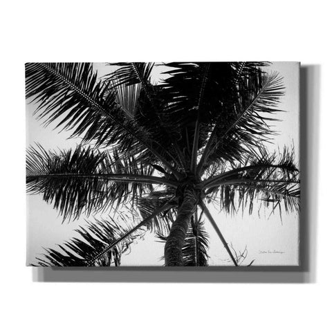 Image of 'Palm Tree Looking Up III' by Debra Van Swearingen, Canvas Wall Art,16x12x1.1x0,26x18x1.1x0,34x26x1.74x0,54x40x1.74x0