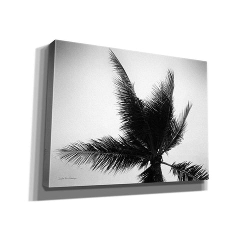 Image of 'Palm Tree Looking Up IV' by Debra Van Swearingen, Canvas Wall Art,16x12x1.1x0,26x18x1.1x0,34x26x1.74x0,54x40x1.74x0