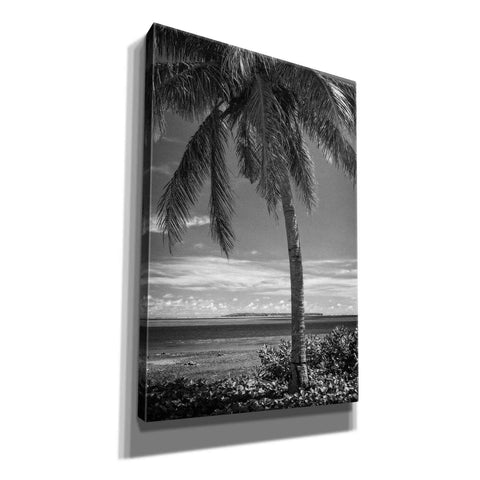 Image of 'Ocean View' by Debra Van Swearingen, Canvas Wall Art,12x18x1.1x0,18x26x1.1x0,26x40x1.74x0,40x60x1.74x0