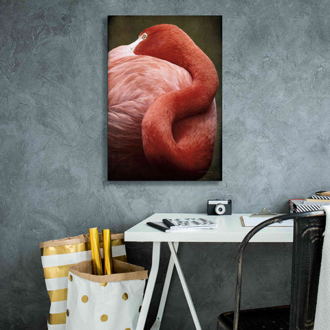 Image of 'Caribbean Flamingo I' by Debra Van Swearingen, Canvas Wall Art,18 x 26