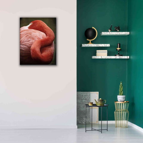 Image of 'Caribbean Flamingo I' by Debra Van Swearingen, Canvas Wall Art,26 x 34