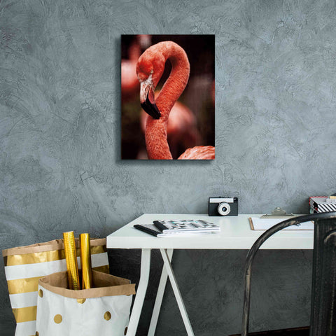 Image of 'Caribbean Flamingo II' by Debra Van Swearingen, Canvas Wall Art,12 x 16