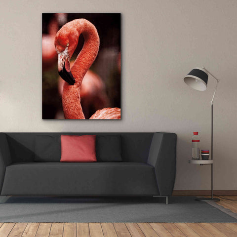 Image of 'Caribbean Flamingo II' by Debra Van Swearingen, Canvas Wall Art,40 x 54