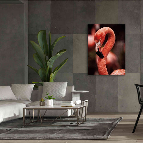 Image of 'Caribbean Flamingo II' by Debra Van Swearingen, Canvas Wall Art,40 x 54