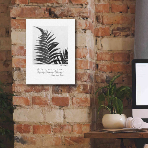 Image of 'Delicate Fern v2' by Debra Van Swearingen, Canvas Wall Art,12 x 16
