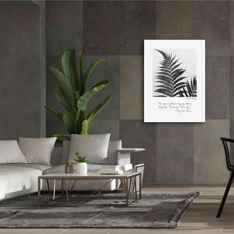 Image of 'Delicate Fern v2' by Debra Van Swearingen, Canvas Wall Art,40 x 54