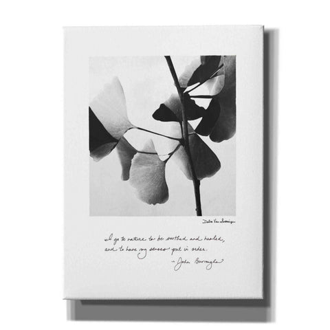 Image of 'Delicate Ginkgo v2' by Debra Van Swearingen, Canvas Wall Art,12x16x1.1x0,20x24x1.1x0,26x30x1.74x0,40x54x1.74x0