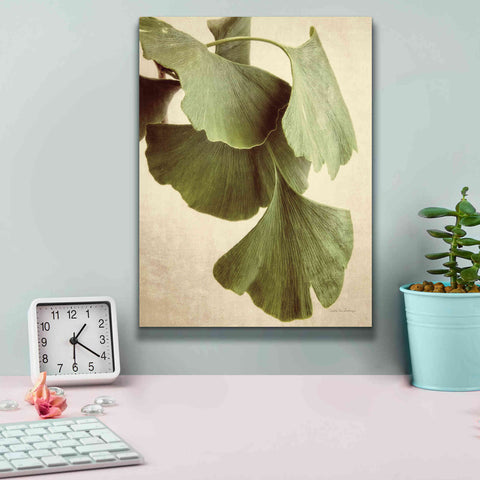 Image of 'Gingko Color' by Debra Van Swearingen, Canvas Wall Art,12 x 16