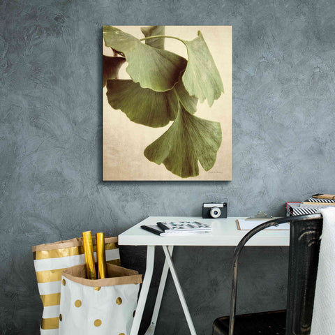 Image of 'Gingko Color' by Debra Van Swearingen, Canvas Wall Art,20 x 24