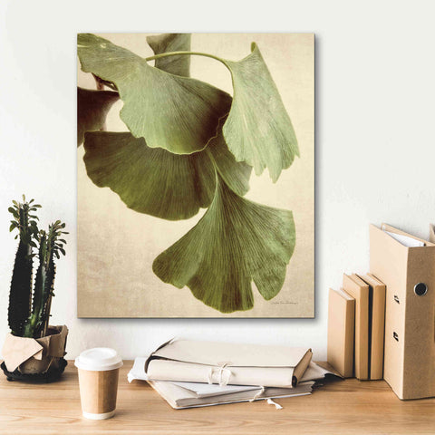 Image of 'Gingko Color' by Debra Van Swearingen, Canvas Wall Art,20 x 24