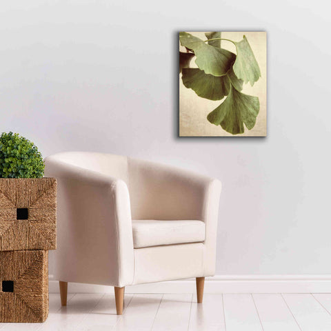 Image of 'Gingko Color' by Debra Van Swearingen, Canvas Wall Art,20 x 24