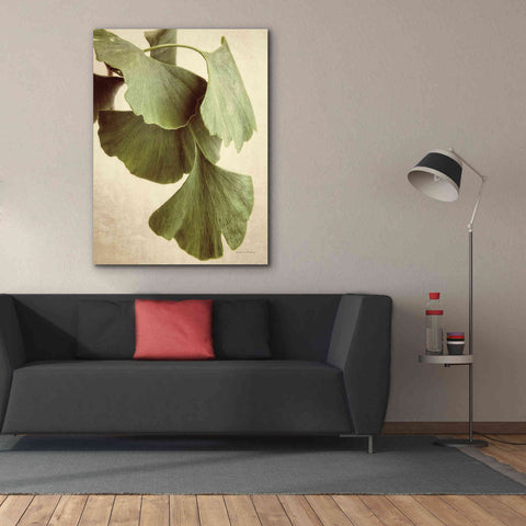 Image of 'Gingko Color' by Debra Van Swearingen, Canvas Wall Art,40 x 54