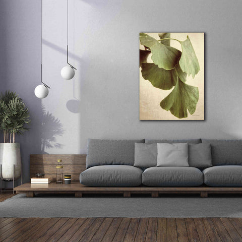 Image of 'Gingko Color' by Debra Van Swearingen, Canvas Wall Art,40 x 54