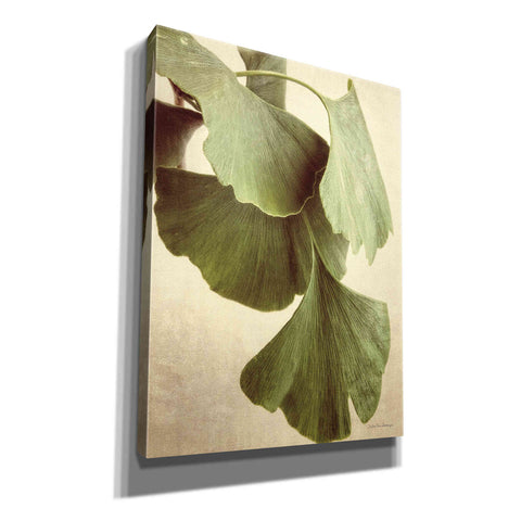Image of 'Gingko Color' by Debra Van Swearingen, Canvas Wall Art,12x16x1.1x0,20x24x1.1x0,26x30x1.74x0,40x54x1.74x0