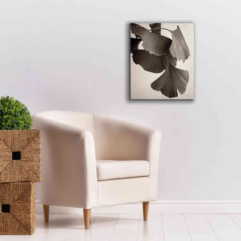 Image of 'Gingko Sepia' by Debra Van Swearingen, Canvas Wall Art,20 x 24