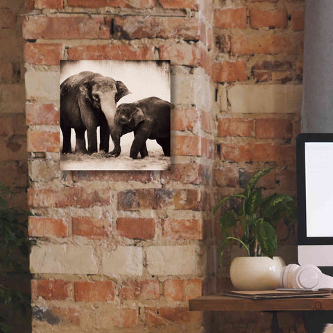 Image of 'Elephant III Sepia' by Debra Van Swearingen, Canvas Wall Art,12 x 12
