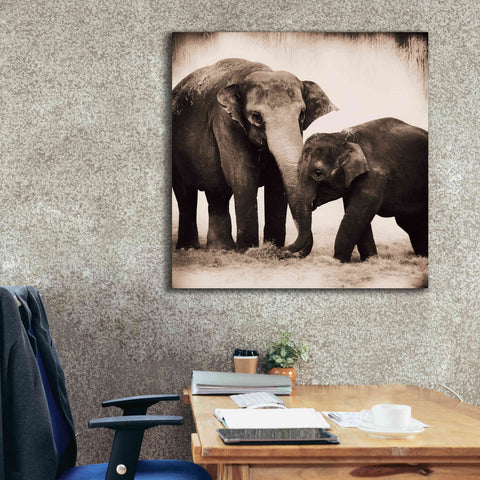Image of 'Elephant III Sepia' by Debra Van Swearingen, Canvas Wall Art,37 x 37