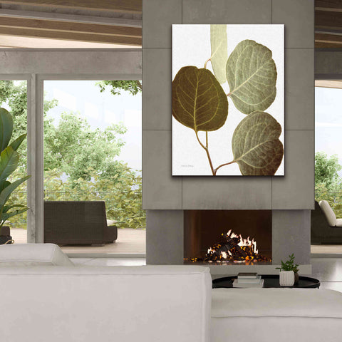 Image of 'Eucalyptus Color on White' by Debra Van Swearingen, Canvas Wall Art,40 x 54