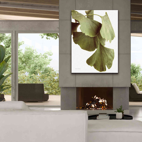 Image of 'Ginko Color on White' by Debra Van Swearingen, Canvas Wall Art,40 x 54
