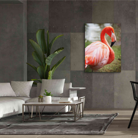 Image of 'Flamingo I' by Debra Van Swearingen, Canvas Wall Art,40 x 54
