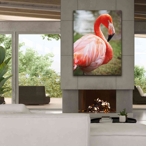 Image of 'Flamingo I' by Debra Van Swearingen, Canvas Wall Art,40 x 54