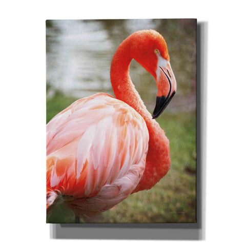 Image of 'Flamingo I' by Debra Van Swearingen, Canvas Wall Art,12x16x1.1x0,20x24x1.1x0,26x30x1.74x0,40x54x1.74x0