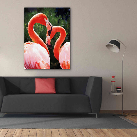 Image of 'Flamingo II' by Debra Van Swearingen, Canvas Wall Art,40 x 54