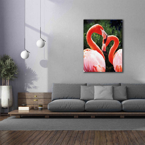 Image of 'Flamingo II' by Debra Van Swearingen, Canvas Wall Art,40 x 54
