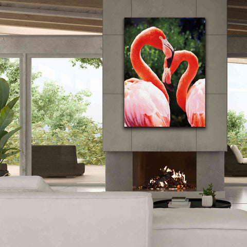 Image of 'Flamingo II' by Debra Van Swearingen, Canvas Wall Art,40 x 54
