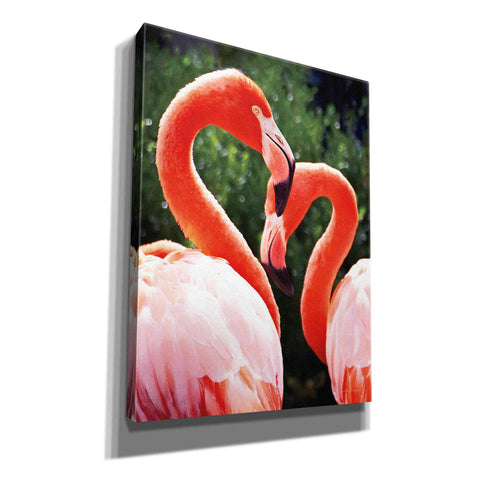 Image of 'Flamingo II' by Debra Van Swearingen, Canvas Wall Art,12x16x1.1x0,20x24x1.1x0,26x30x1.74x0,40x54x1.74x0