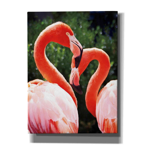 Image of 'Flamingo II' by Debra Van Swearingen, Canvas Wall Art,12x16x1.1x0,20x24x1.1x0,26x30x1.74x0,40x54x1.74x0