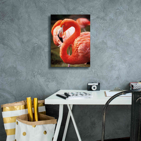 Image of 'Flamingo III' by Debra Van Swearingen, Canvas Wall Art,12 x 16