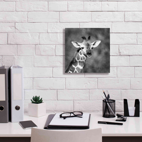 Image of 'Little Guy' by Debra Van Swearingen, Canvas Wall Art,12 x 12