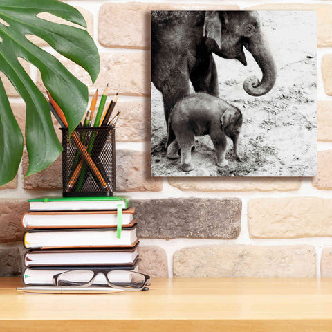 Image of 'Mother and Daughter' by Debra Van Swearingen, Canvas Wall Art,12 x 12